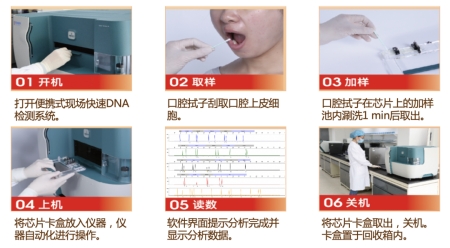 基于全集成微流控芯片的自動(dòng)化法醫DNA檢測流程